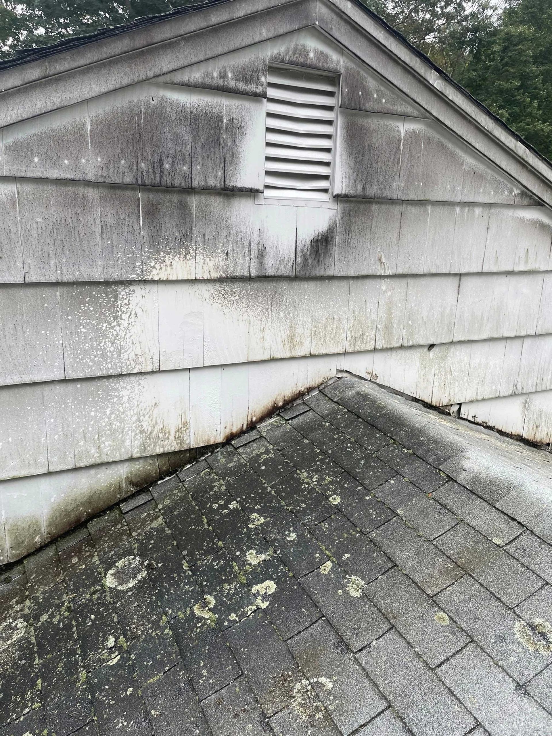 Exterior of a building with weathered siding and roof, covered in dark stains and algae. A vent is visible.