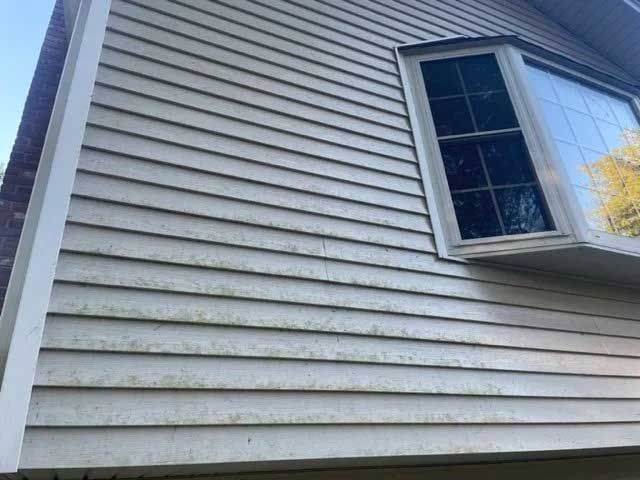 Beige siding on a house with a bay window, showing green algae growth.
