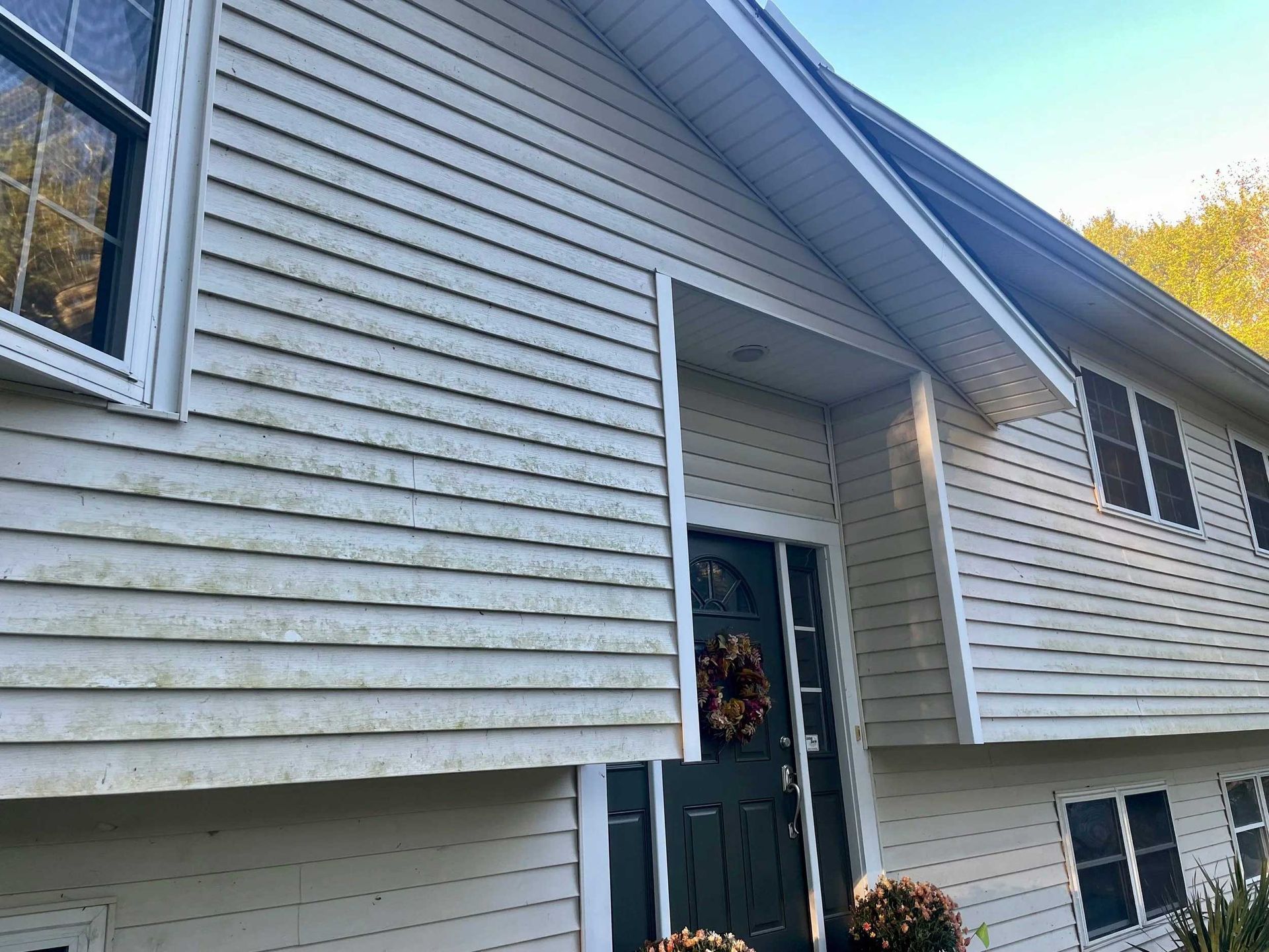 Beige siding on a two-story house with a dark green front door and visible windows.