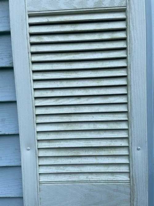 White louvered shutter with dark marks, mounted on a blue house.