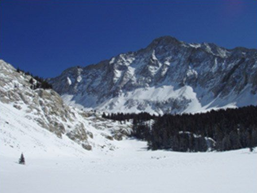 Snow-covered mountain under a clear blue sky, with a dark forest line in the valley.