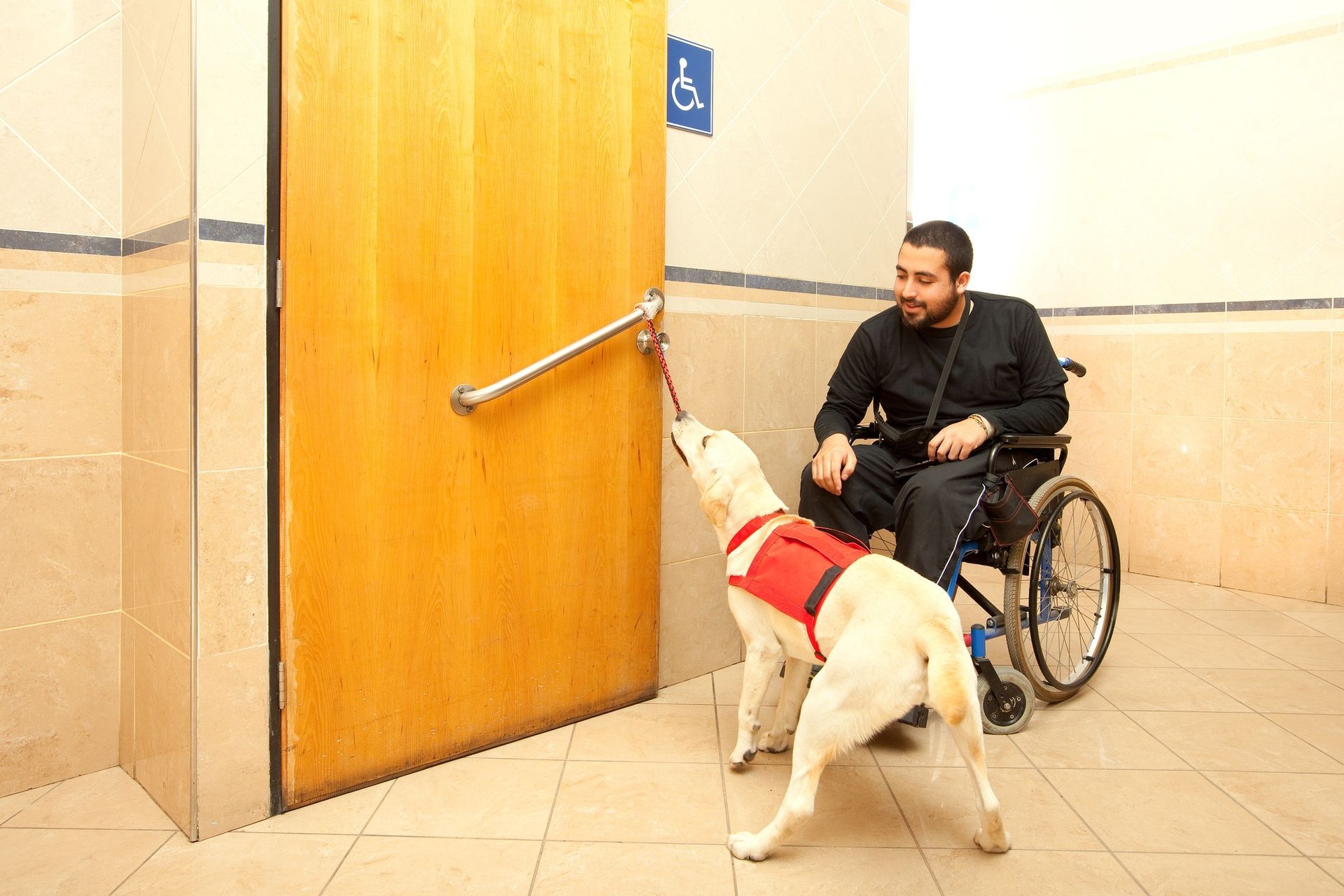 Dog assisting person in wheelchair to open accessible door.