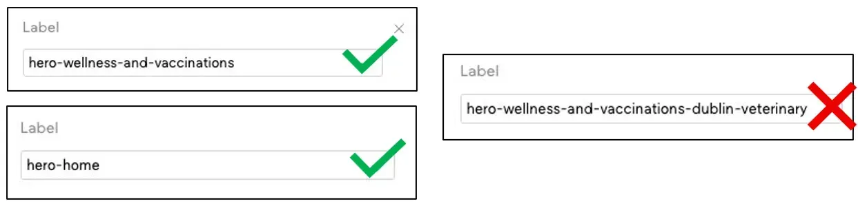 Border Collie running on beach 