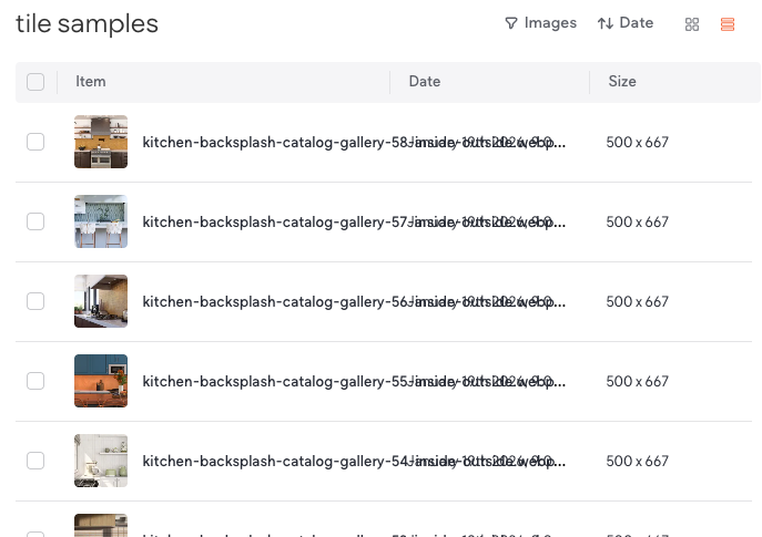 Border Collie running on beach 