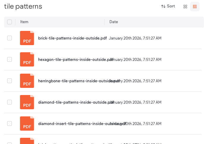 Border Collie running on beach 