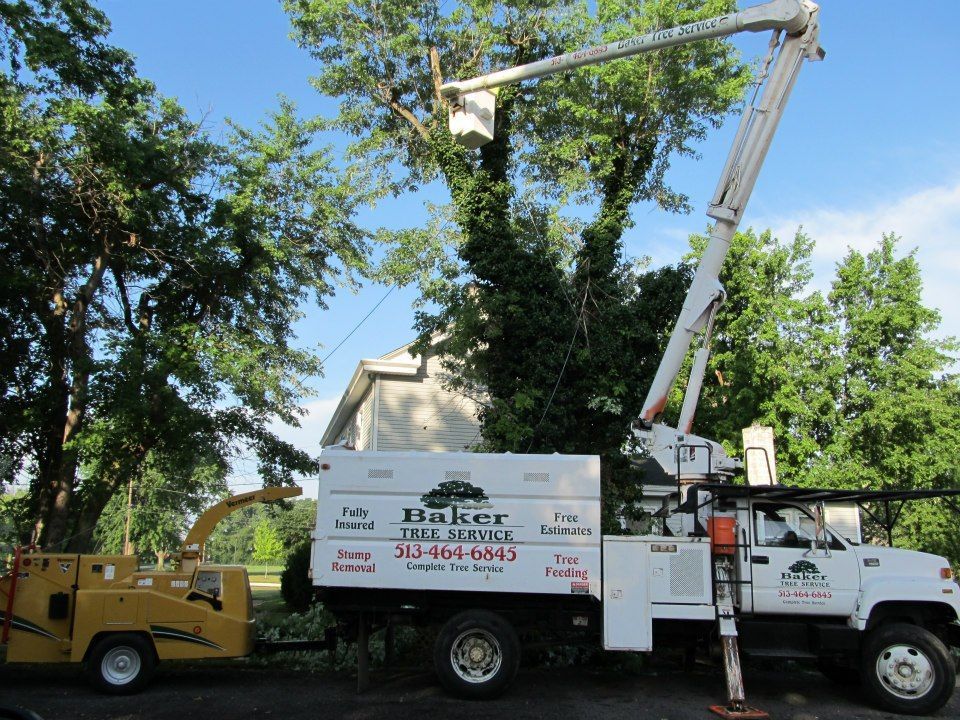 tree trimming services