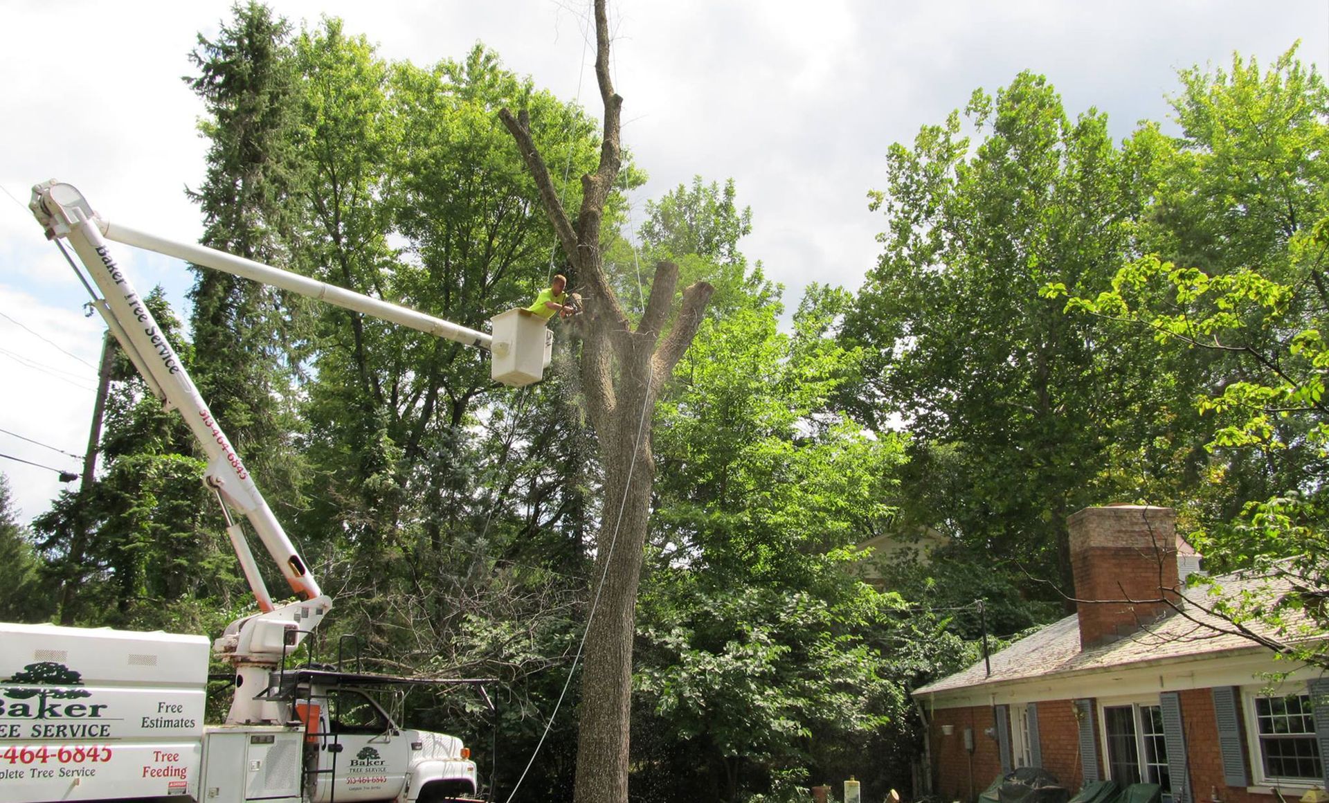 Tree Service Hamilton, OH Mason, OH Baker Tree Service