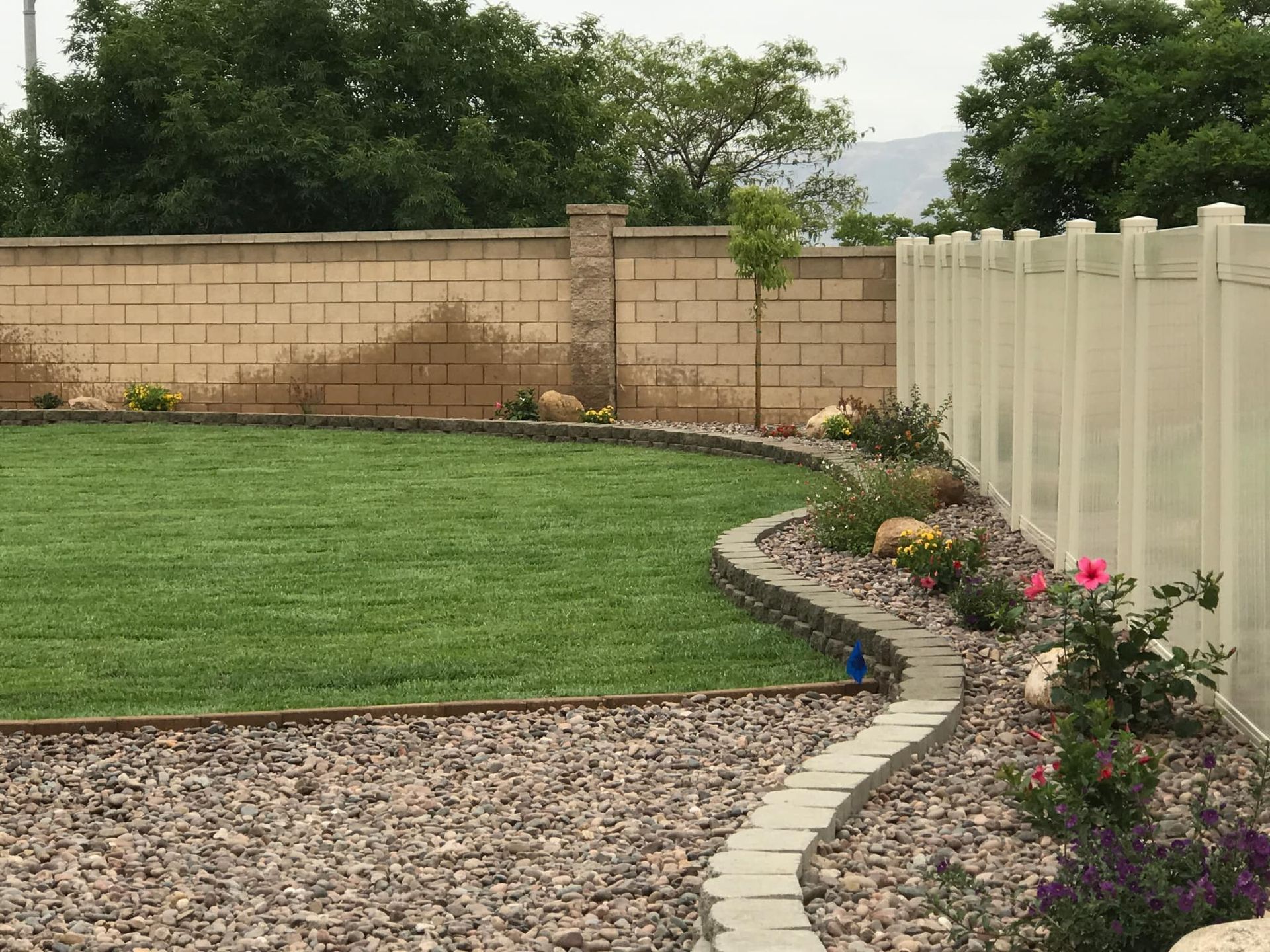 a white fence surrounds a lush green lawn in a backyard .