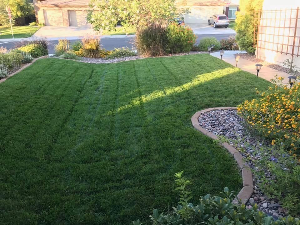 a lush green lawn in front of a house with a curb