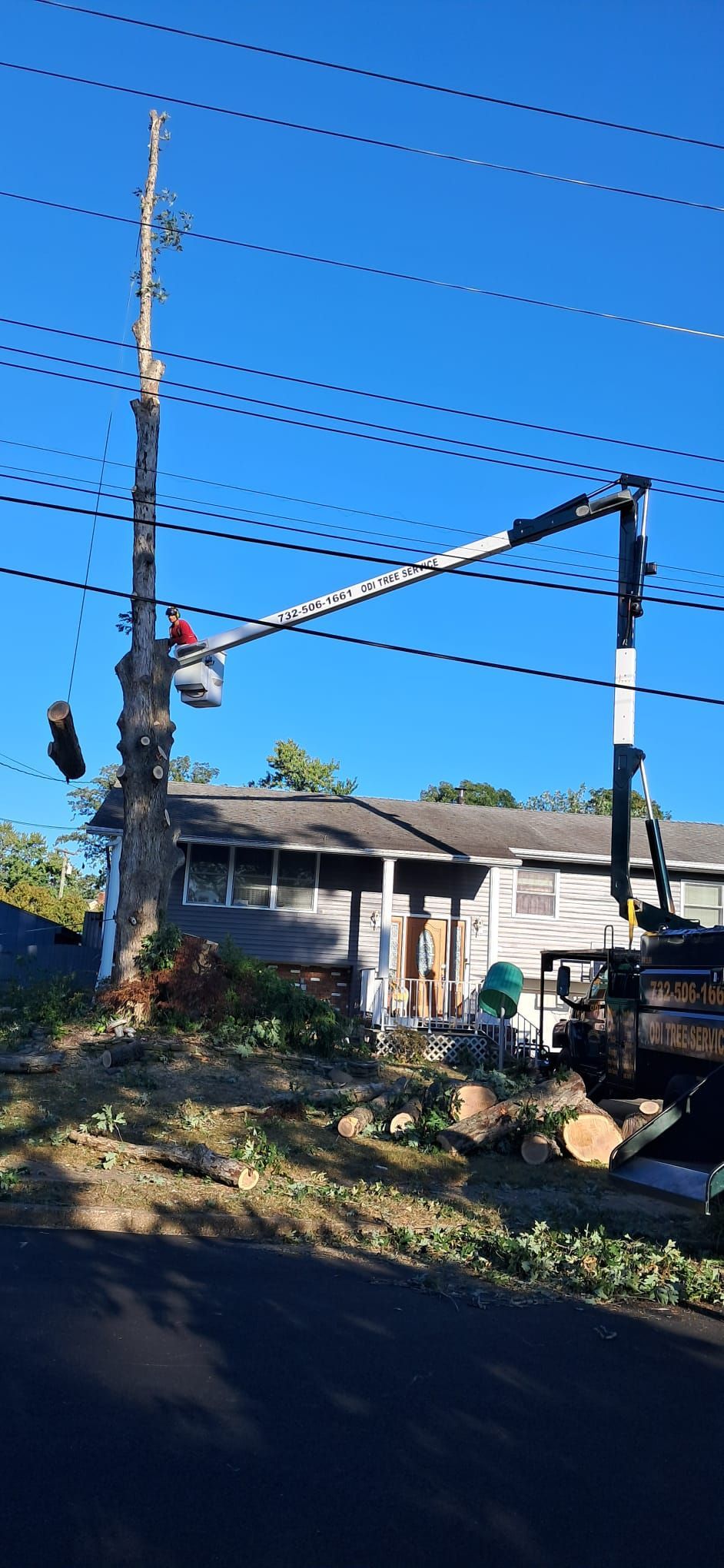 A tree being trimmed near a house with an elevated lift; clear blue sky.