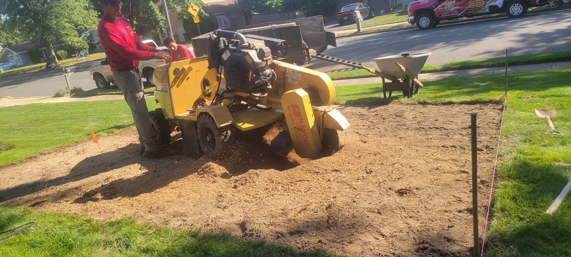 A person operating a yellow stump grinder on a lawn.