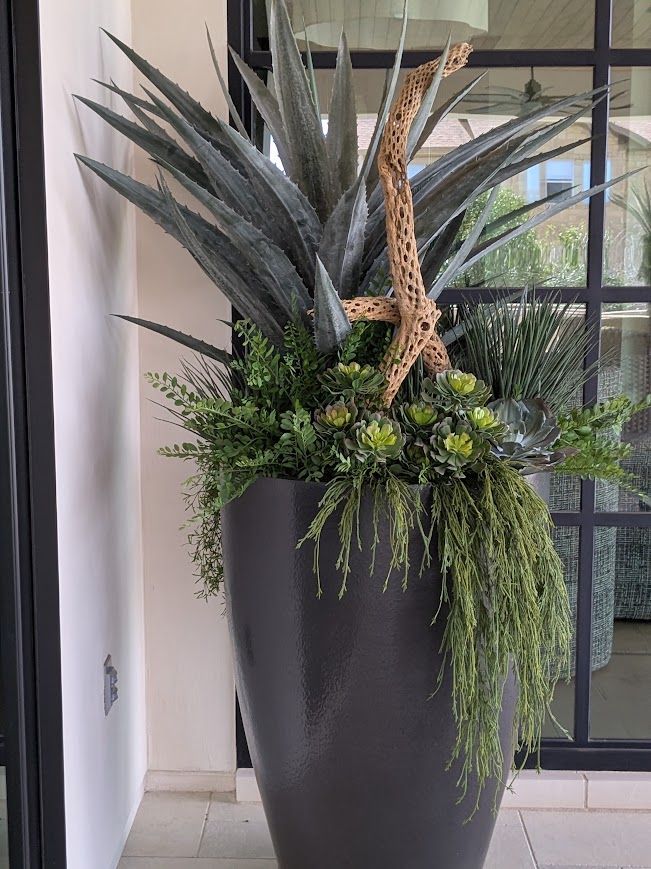 Tall potted succulent arrangement with green foliage in a black planter by a window