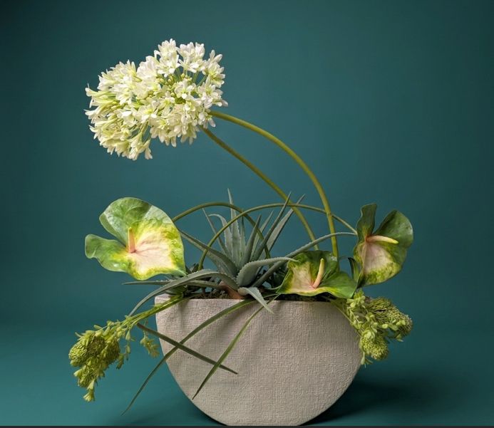 White flowers and broad green leaves in a round gray planter on a teal background