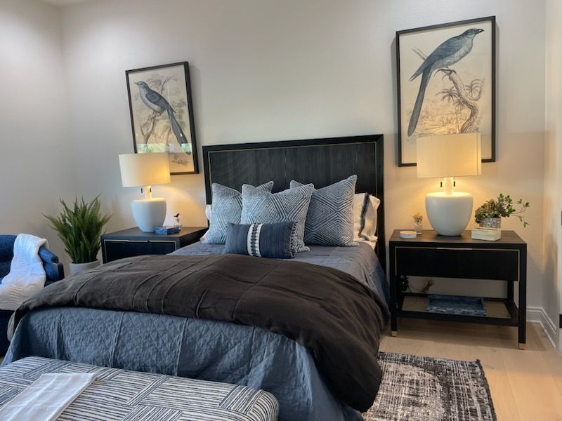 Modern bedroom with a black bed, blue bedding, lamps, and framed bird prints on the walls