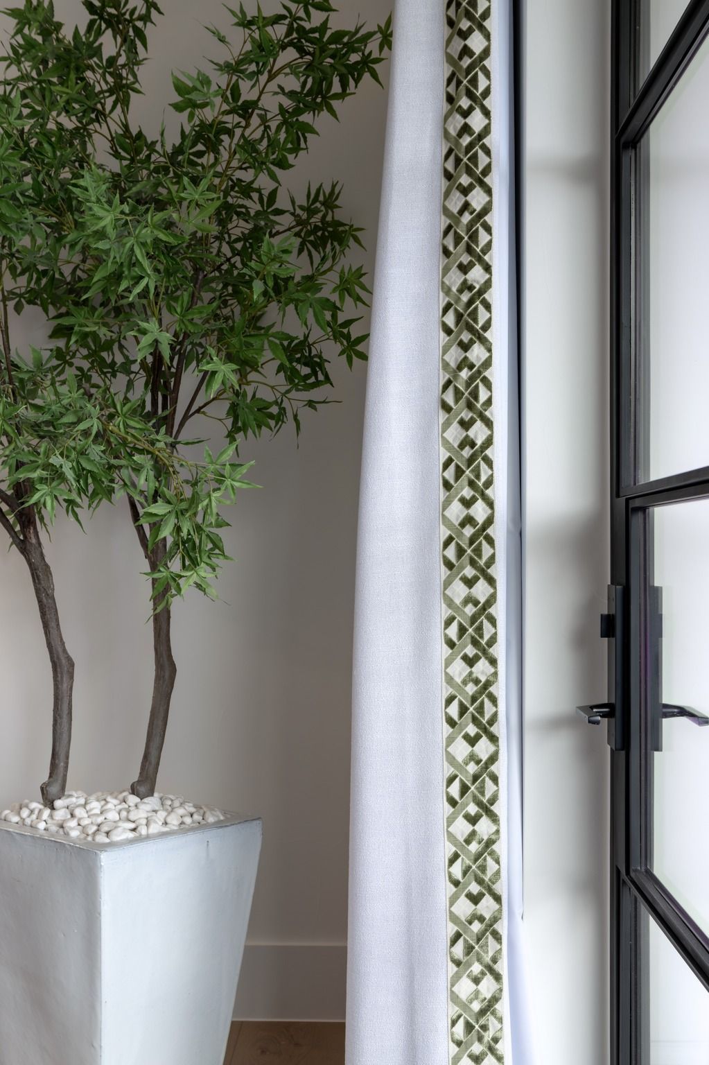 Tall potted tree beside a white curtain and black-framed glass door in a bright interior