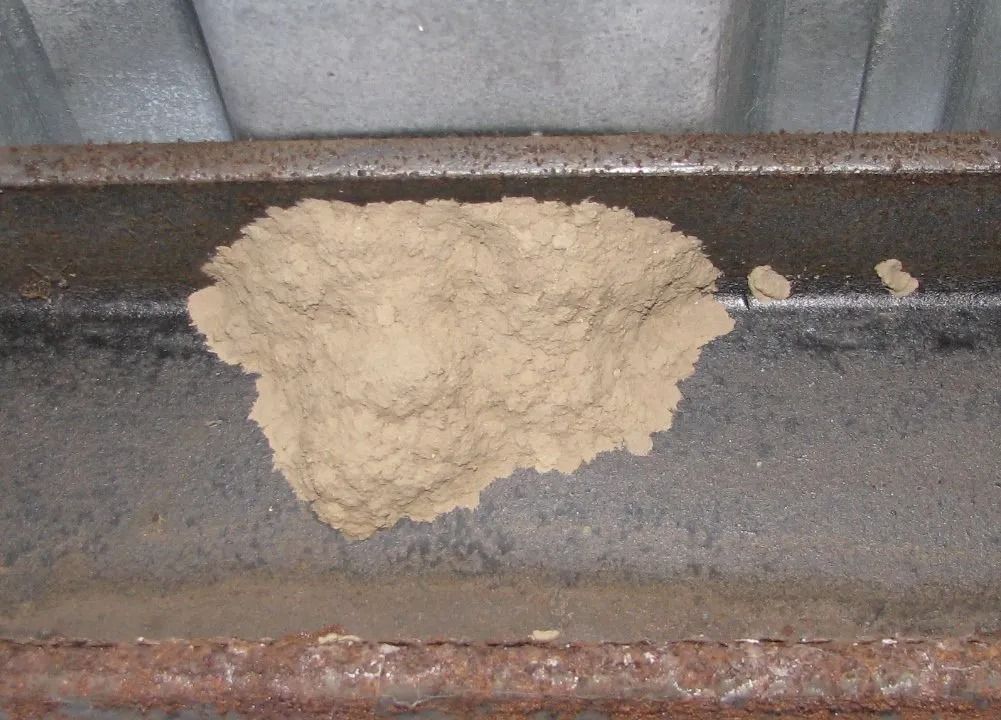 Tan mud nest clinging to a rusty metal beam, under a metal roof.