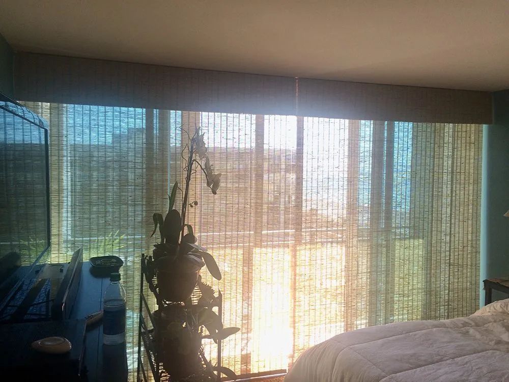 Sunlit bedroom with sheer curtains, potted plant silhouette, and bed in the foreground