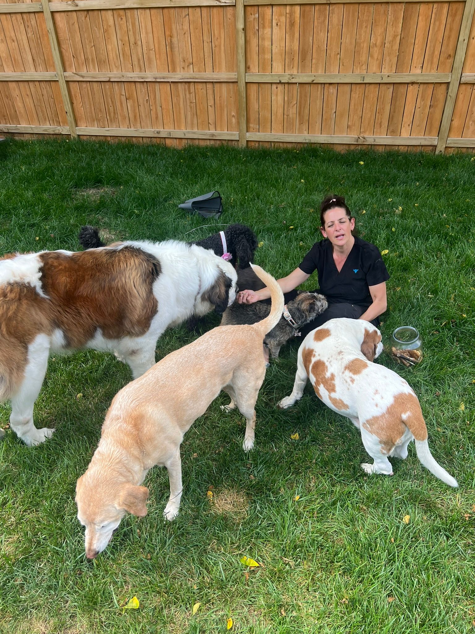 Woman kneels on grass surrounded by four dogs near a wooden fence, one large white-and-brown dog in front