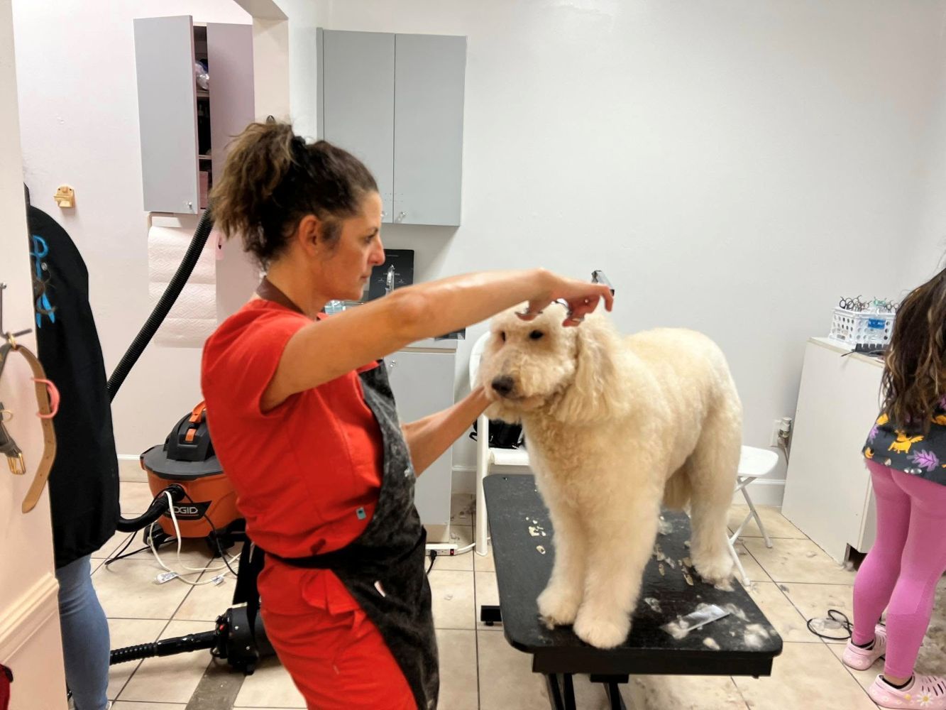 Woman grooming a fluffy white dog on a grooming table indoors.