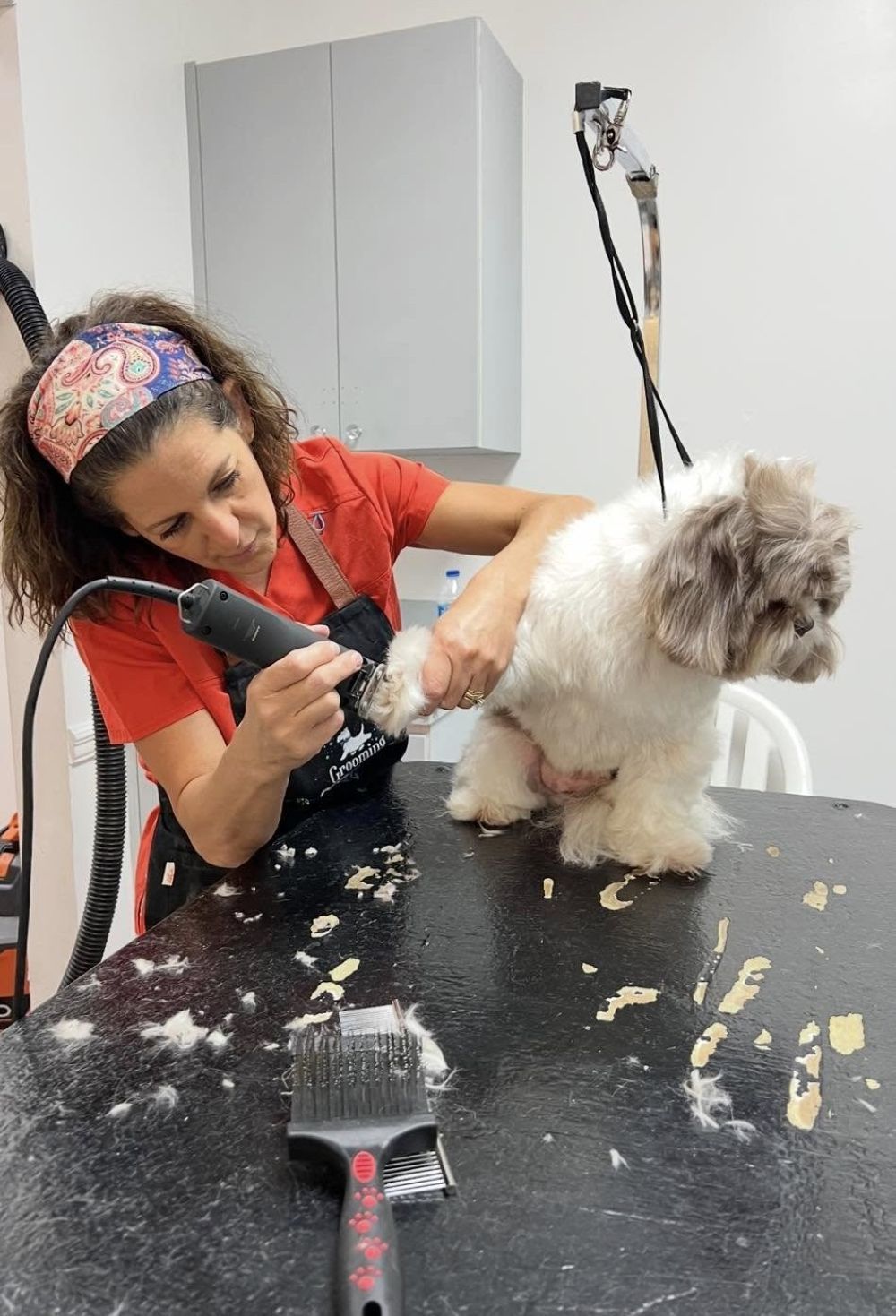 Groomer shaves a small, fluffy dog on a grooming table. The groomer wears a headband and red shirt.