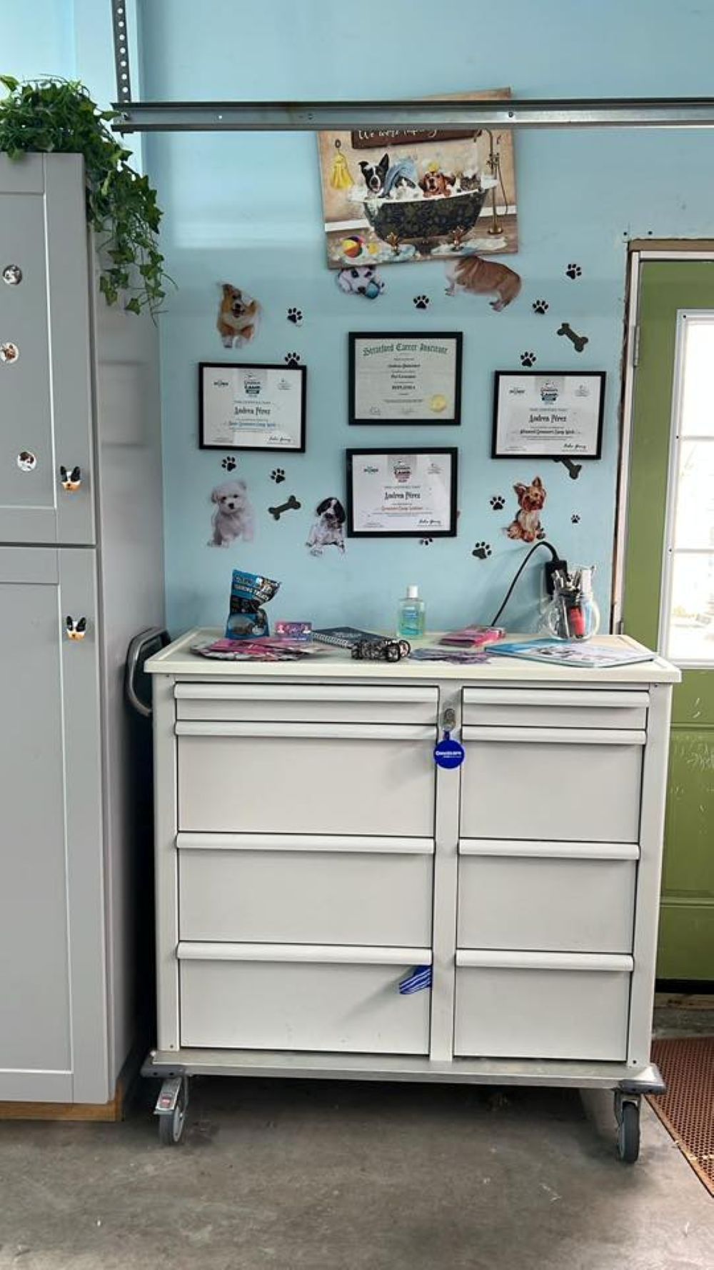 White cabinet with drawers, certificates, and dog-themed decorations on a blue wall.
