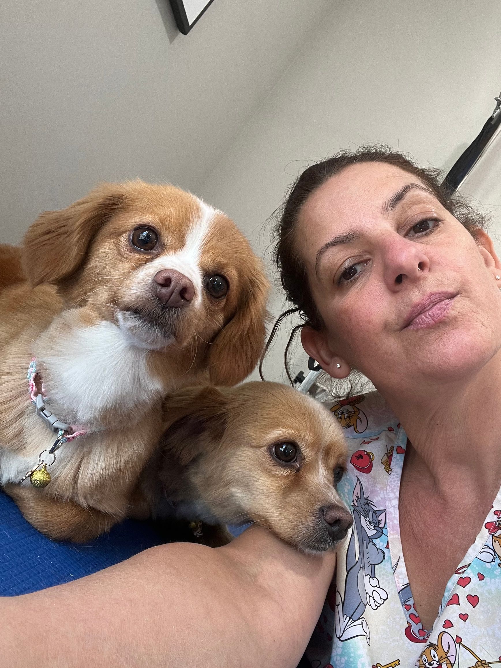 Woman smiles, holding two small dogs close to her face; dogs look at the camera.