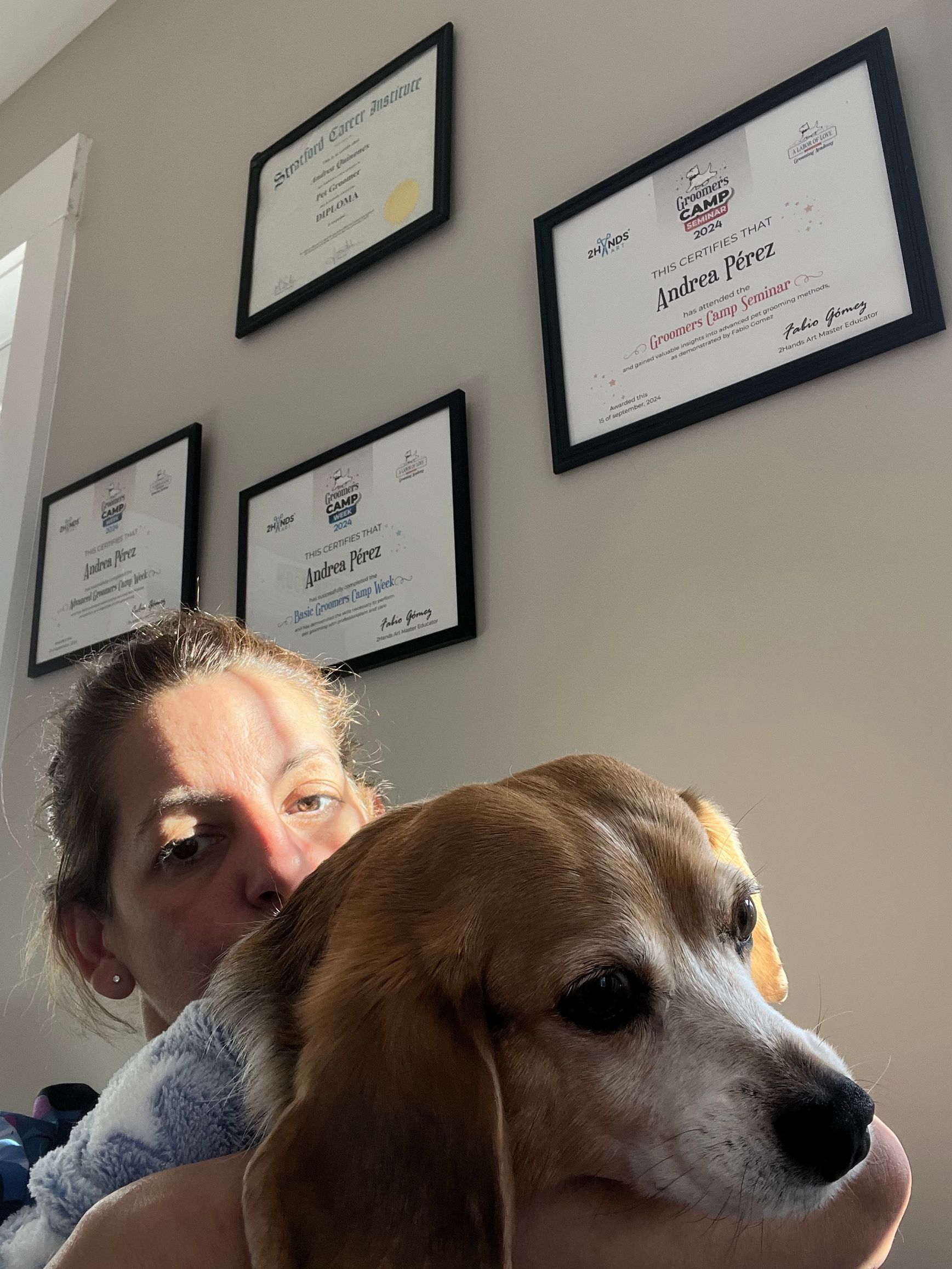 Woman and beagle dog, framed by awards on a wall. The dog rests on the woman’s arm, basking in sunlight.