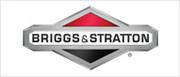 Briggs & Stratton