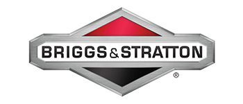 Briggs and Stratton