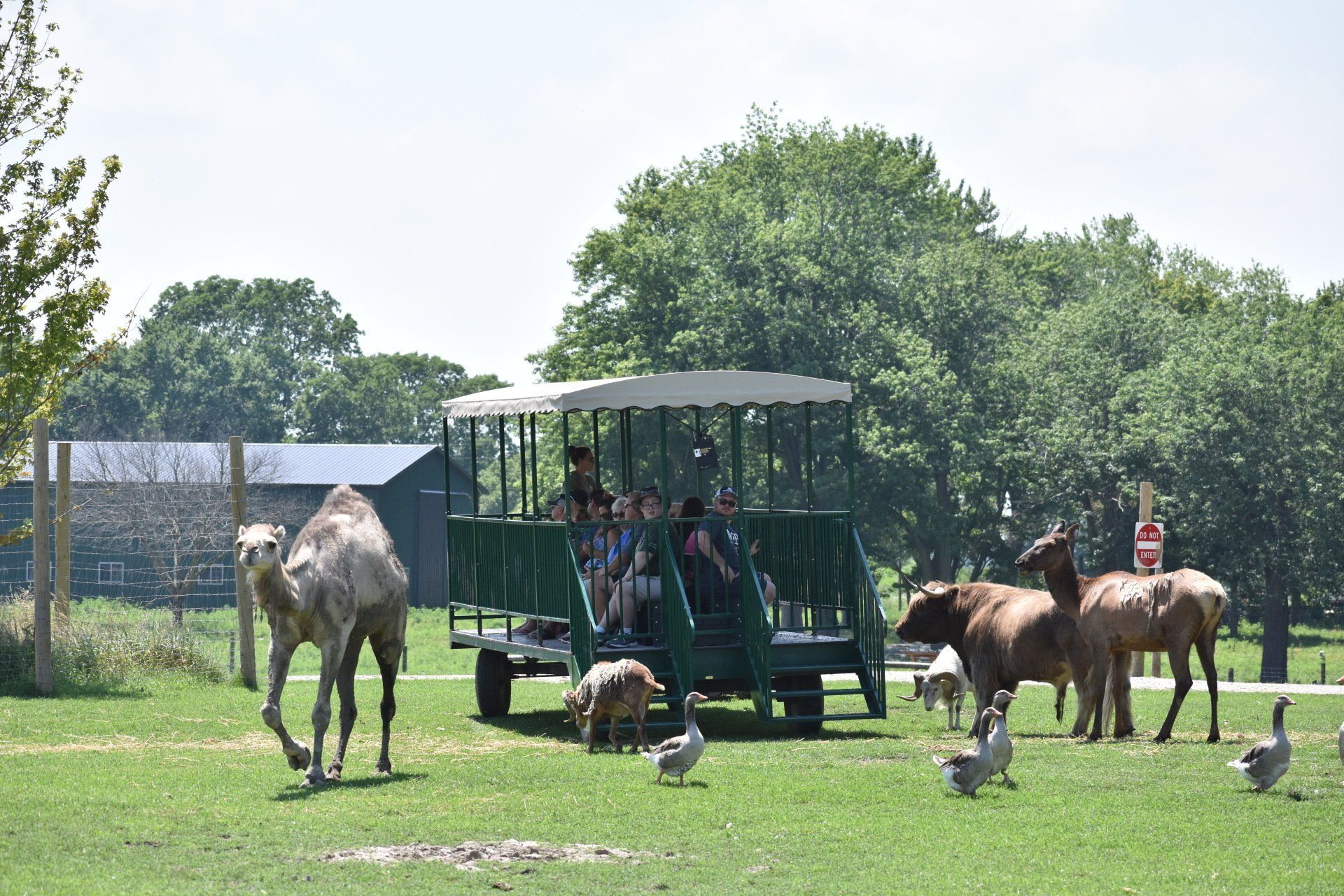 Aikman Wildlife Adventure Exotic Animals Arcola, IL