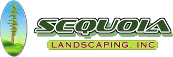 Sequoia Landscaping Inc - Logo