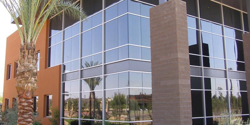 Modern office building with large windows and a palm tree in front.