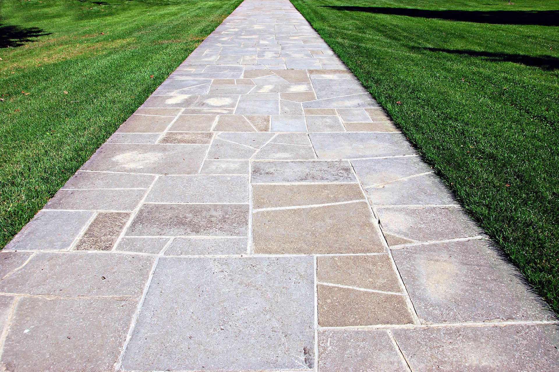 A stone walkway going through a lush green field