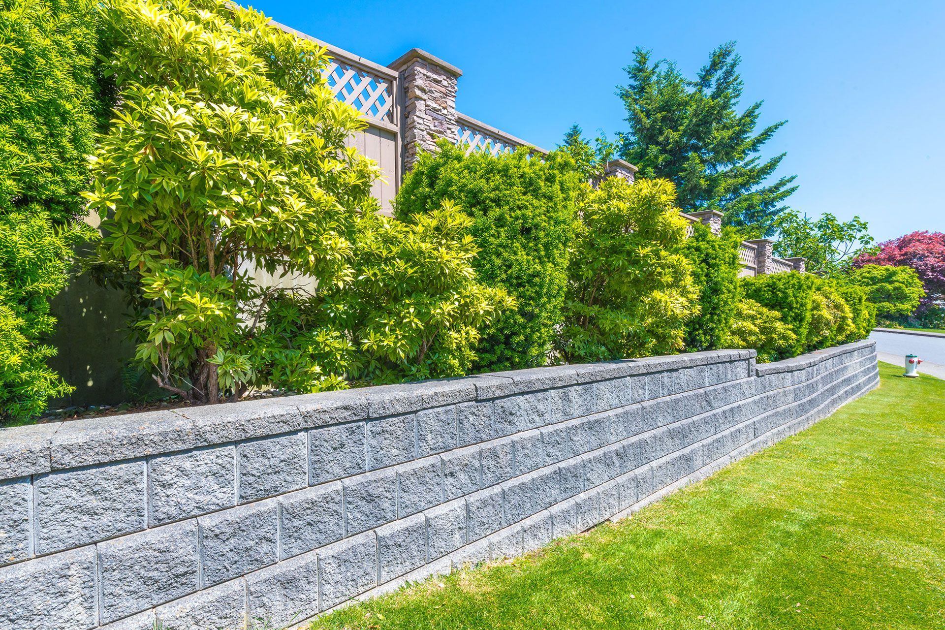 Retaining wall surrounded by trees and bushes in front of a house