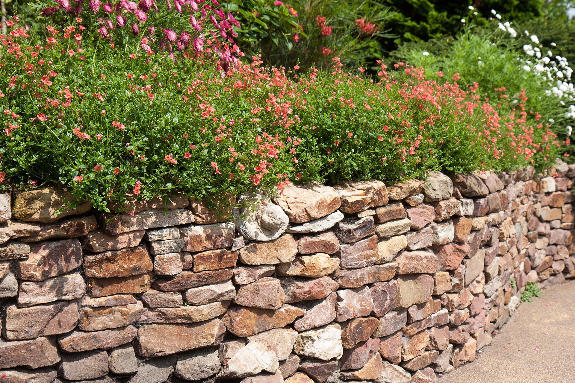 A stone retaining wall with flowers growing on it