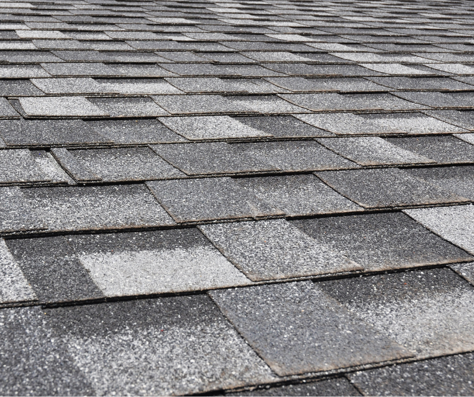 Close-up of a gray asphalt shingle roof.