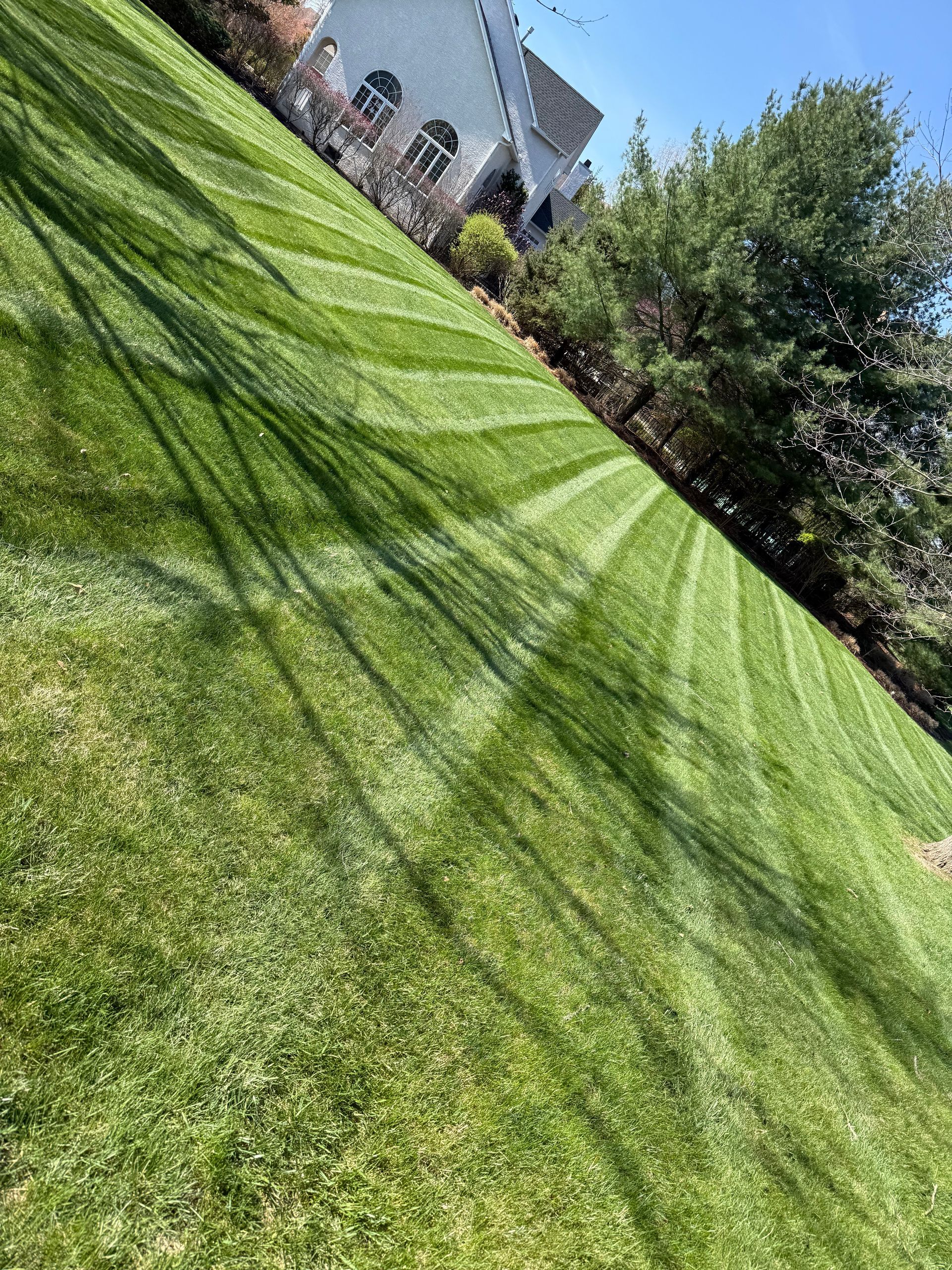 Slanted view of a green lawn with tree shadows and a house in the background