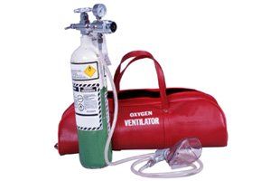 Portable oxygen tank with bag