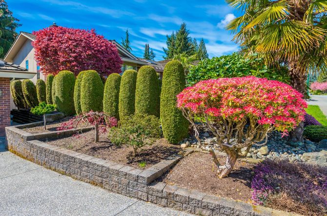 BackYard Landscaping
