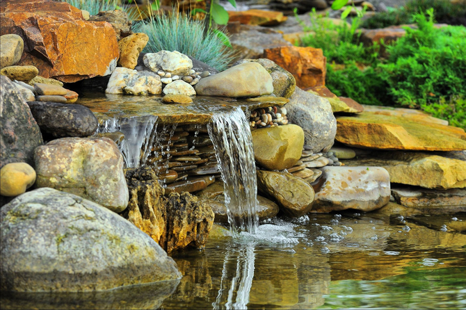 BackYard Landscaping