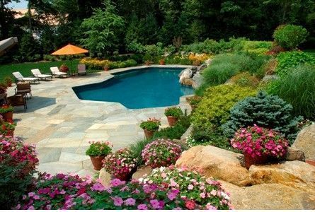 Swimming pool surrounded by landscaping, with lounge chairs and potted flowers.