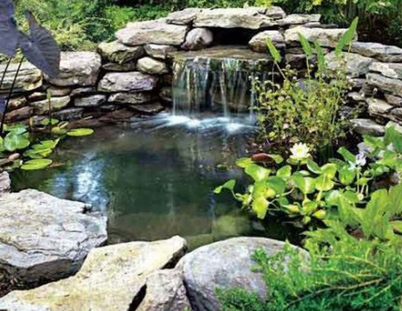 Water pond with waterfall, surrounded by rocks and greenery.