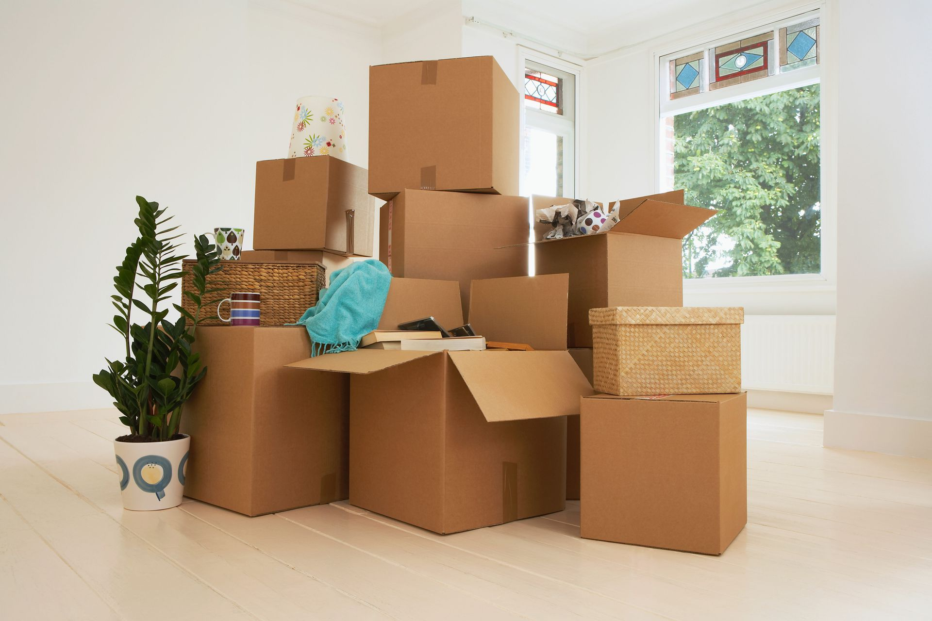 Cardboard boxes stacked in a room with a plant and a window, indicating a move.
