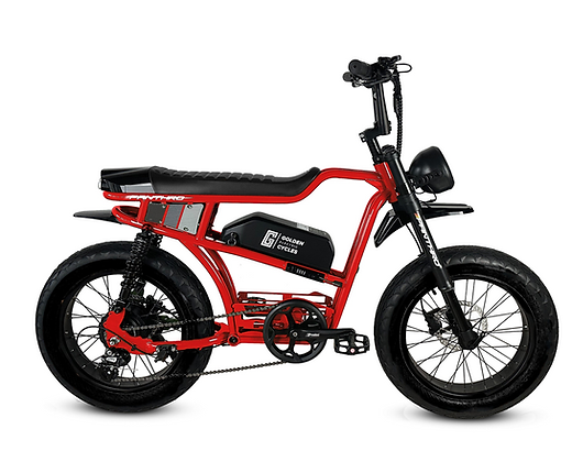 A red electric motorcycle with a large tire on a white background.