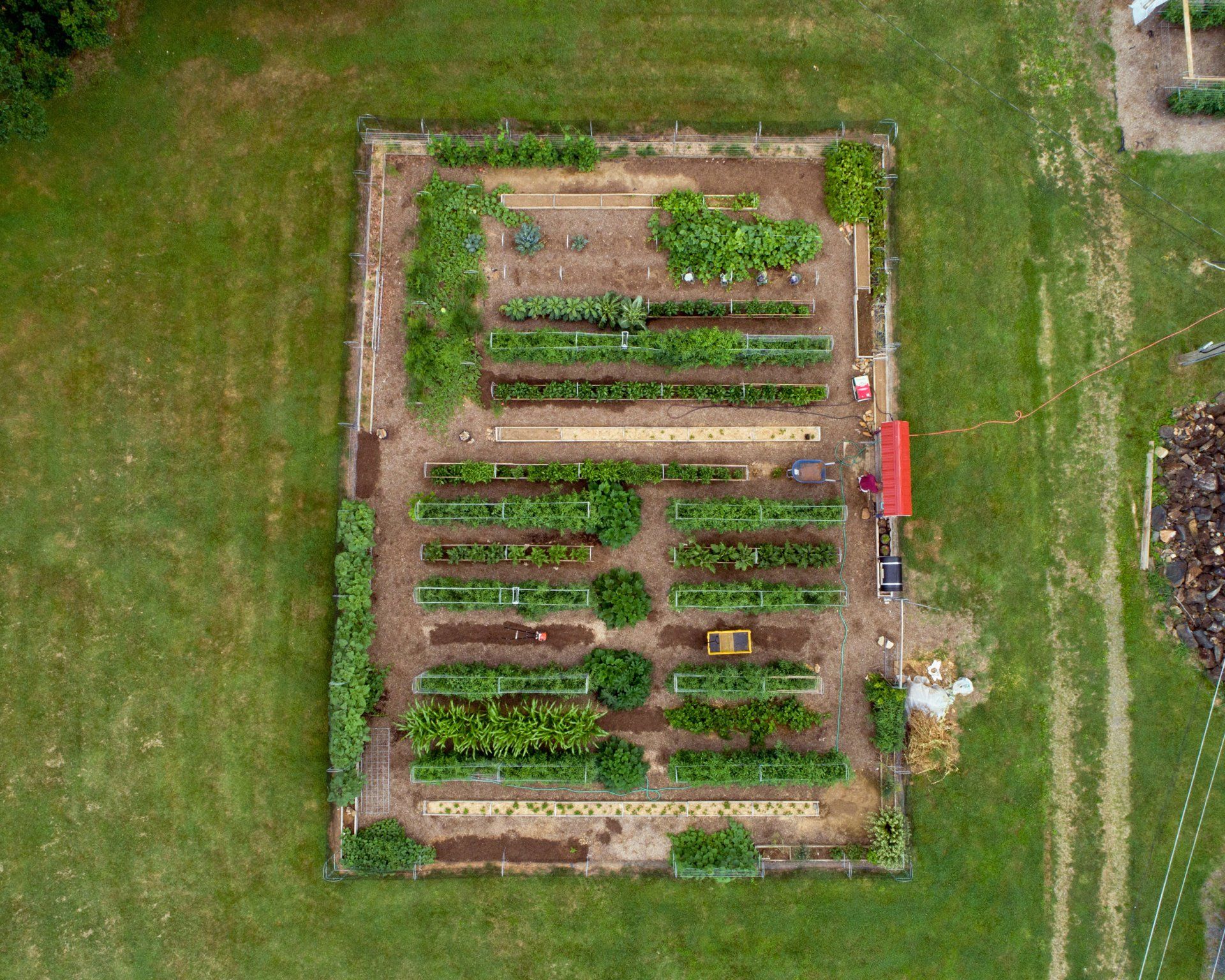 top view garden
