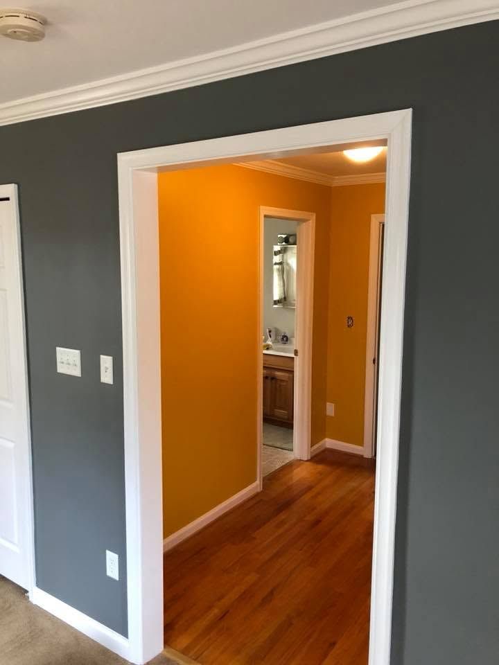 Interior doorway with dark gray walls, white trim, orange hallway, and wood floors, looking into a bathroom.