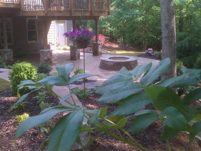 there is a fire pit in the middle of the backyard surrounded by trees.