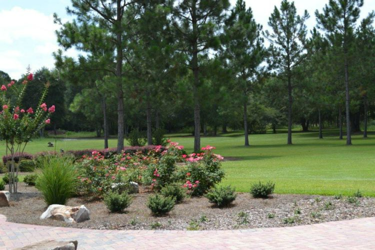a lush green field with trees and flowers in the foreground.