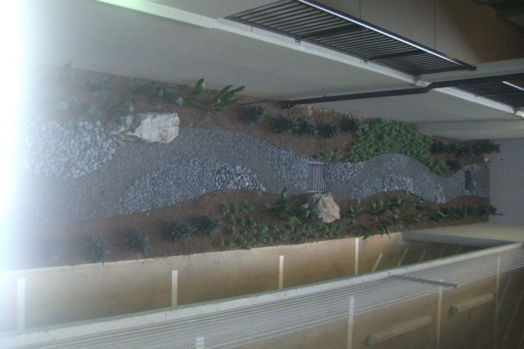 a fence with a lot of rocks and plants in a garage .