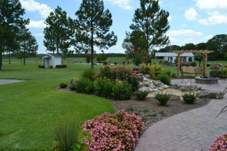 a lush green yard with pink flowers and trees.